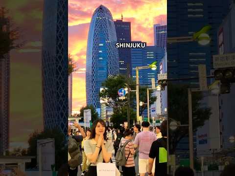 Shinjuku City Night Walk || #japan #travel #walkingtour #shinjuku #shorts