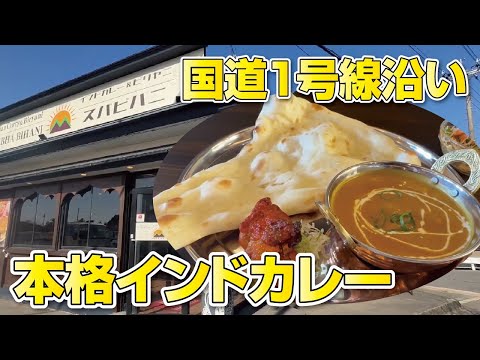 【NEWオープン】国道一号線沿いにある本格インド料理でナンカレーランチ♪【京都・久御山】