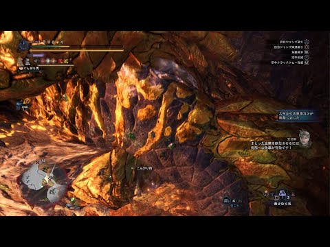 [MHWI] 終わりなき黄金時代　マムタロト　操虫棍　04'48"33