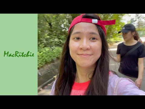 MacRitchie Nature Trail & Reservoir Park 麦里芝自然观光步道&蓄水池