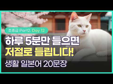 [하루일본어/초중급 Part2. Day 12] 듣기만해도 귀에 쏙쏙 들어오는 생활 일본어, 매일 들으면 익숙해져요!  #일본어회화 #생활일본어 #일본어기초 #일본어독학