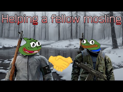 Tarkov - Helping a fellow mosling