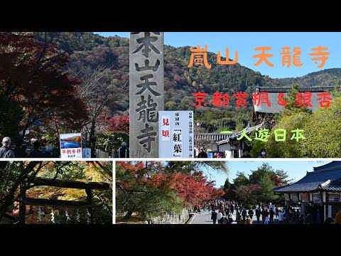 京都賞楓景點～天龍寺～, 就在嵐山, 記得打開CC字幕喔!