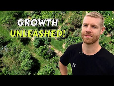 Inspiring Food Forest Tour - Turning a Grass Paddock into an Edible Oasis!