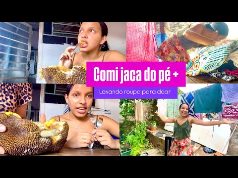 Lavando roupas para doar + comendo jaca do pé /  vlog . #doação #fyp #lavandoroupa #organização