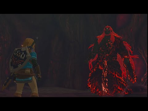 Zelda: TotK Ganondorf Master Sword Only