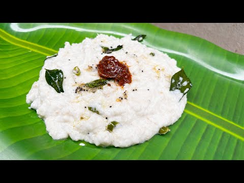 சாமை தயிர் சாதம் | Samai Curd Rice in Tamil | Little Millet Curd Rice