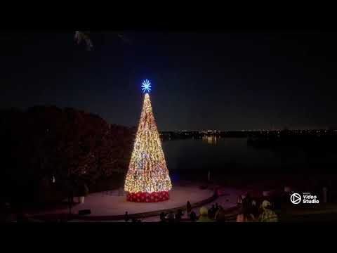 Arboretum(дендрарий) during new years in Dallas, Texas.(съёмка племянницы).