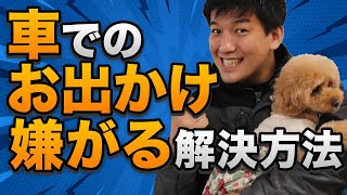 車でお出かけを嫌がるワンちゃんの理由と対策法