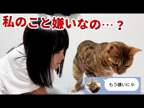 もう嫌いになっちゃったの？構ってくれない猫たちとLINEでトークしてみる5歳娘