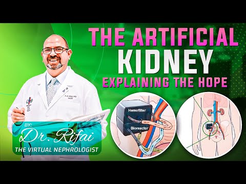 Latest Bio Implantable or Artificial Kidney | The kidney project |  The Future of Kidney Health |