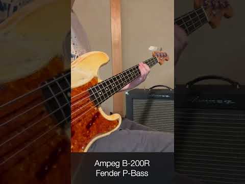 Ampeg B-200R Fender B-BASS #shorts #ampeg #fenderpbass