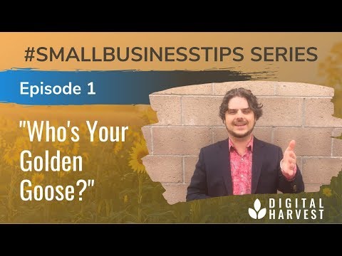 Who's the Golden Goose for Your Business? | Episode 1 #SmallBusinessTips Series