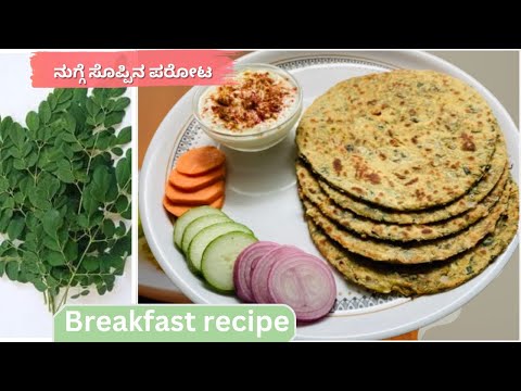 ನುಗ್ಗೆ ಸೊಪ್ಪಿನ ಪರೋಟ/ ಚಪಾತಿ Healthy breakfast /lunchbox / dinner /drumstickleaves/ moringa-Recipes