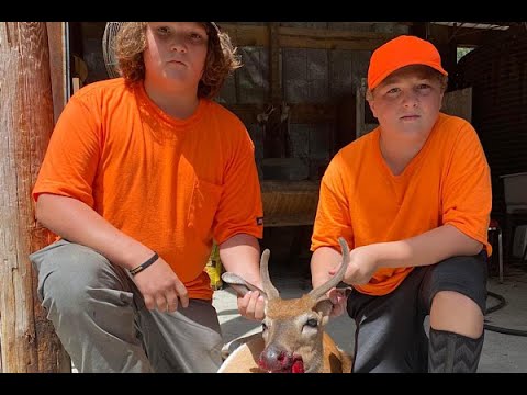 Deer Dog Drive 8/27/2022 Young Standers Double Tap A Velvet Buck