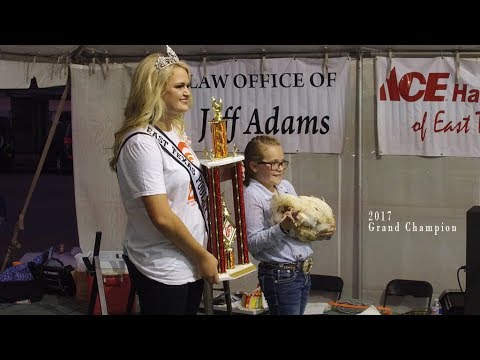 Auction at 2017 Poultry Festival