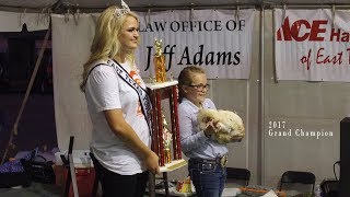 Auction at 2017 Poultry Festival