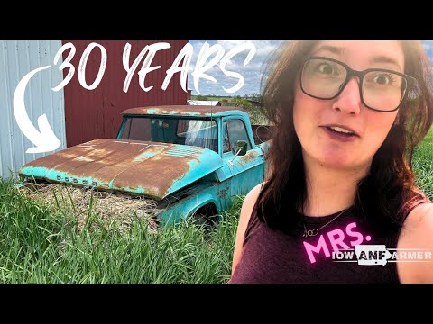 This Truck Hasn't Moved in THIRTY YEARS!  - We're giving it a new life!