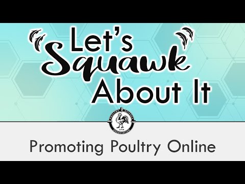 Let's Squawk About It (S2 E2): Promoting Poultry Online