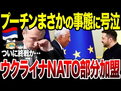 【ゆっくり解説】ウクライナがNATO部分加盟へ！まさかの展開にプーチン号泣。