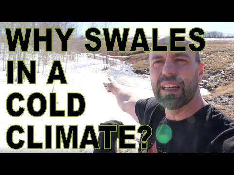 Why Swales Make Sense In Cold Climates