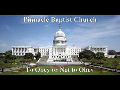 PBC   To Obey or Not to Obey (Reloaded)