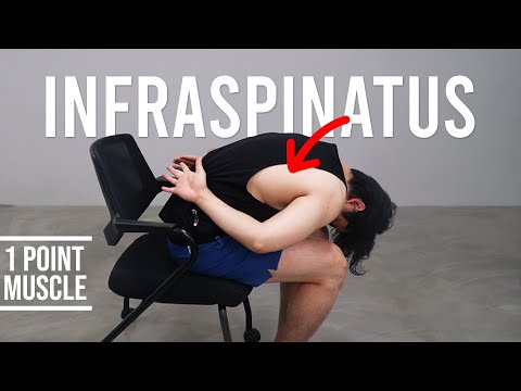 Please stretch your Scapula｜Infraspinatus Stretch