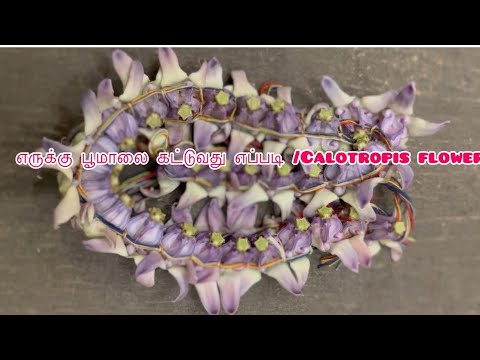 **"எருக்கு பூமாலை கட்டுவது எப்படி / How to make flower garland  Erukku  flowers#Easy #Simple#