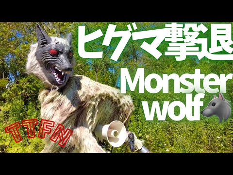 〝ヒグマ撃退〟害獣被害から守る『モンスターウルフ』を見に行ったみた in そらぷちキッズキャンプ