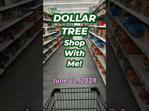 (Voiceover) DOLLAR TREE Shop With Me! York and New Oxford, PA Stores! (Part 1) June 21, 2024