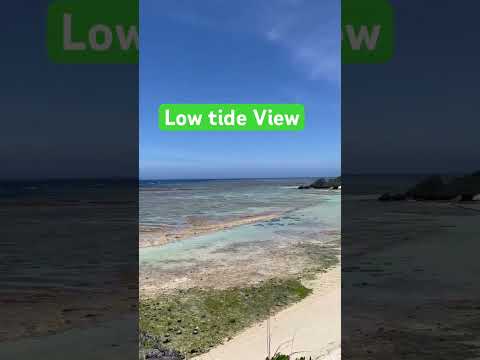 Low tide view 🌊 🏖️ / #sea #nature #beach #shortvideo #shorts