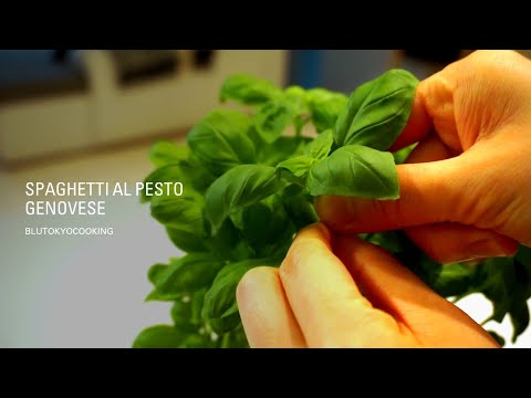 スパゲッティ・ジェノベーゼの作り方 | spaghetti al pesto genovese | バジルたっぷりのパスタ #Shorts