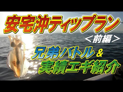 【ティップランエギング】安宅沖アオリイカ釣り対決と実績エギ紹介＜前編＞