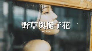 林三七 - 野草與梔子花『枯萎的野草 怎配得上梔子花，你轉身離開 我成了曾經的路人甲，祝你以後過得比我好啊。』【動態歌詞MV】