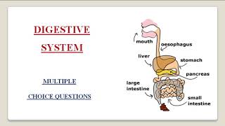 DIGESTIVE SYSTEM  // ORAL CAVITY // DIGESTIVE SYSTEM MULTIPLE CHOICE QUESTIONS PART 1  // PHARMACIST