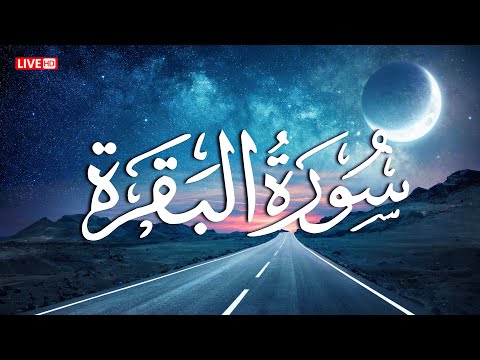 سورة البقرة لراحة القلب وطرد الشياطين 💚 تلاوة هادئة ومريحة جداً 💚💤 لنعاس هانئ وطمأنينة نفسية 😴