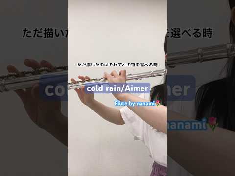 cold rain/Aimer【演奏してみた】【フルート】