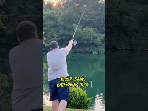 Best Tips For River Bank Fishing For Catfish! #shorts #fishing