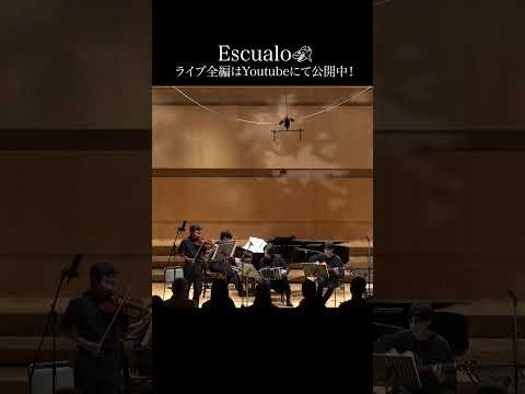 ヴァイオリン輝くEscualo🦈  ライブ全編はYoutubeで公開中！ #藝祭2023 #femmefatale #piazzolla