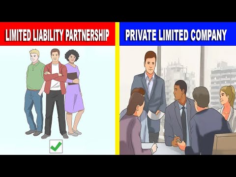 LLP vs Private Limited Company || Which is Better for Starting a Business ||