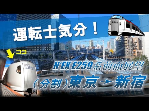 【JR東日本】終点までもう一息！E259系成田エクスプレス前面展望（東京ー新宿）