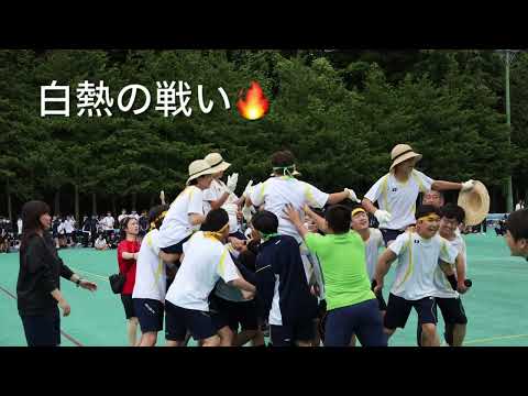 【桐蔭学園中等教育学校】#46 運動会2024 SCHOOL LIFE SHORT