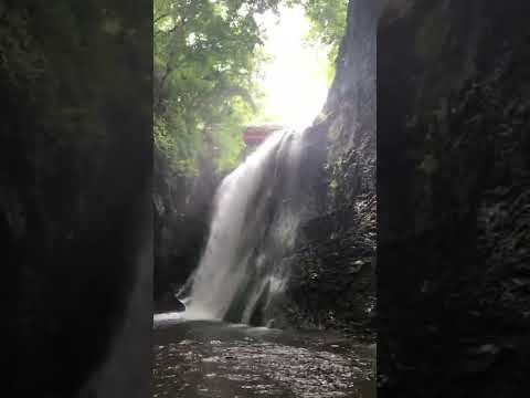 子ノ神の滝  秩父