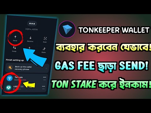 how to use tonkeeper wallet properly | stake ton & earn USDT | tonkeeper tutorial | gentleman crypto