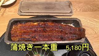 【うなぎ四代目菊川】ミシュラン掲載 衝撃的インパクト 名物一本重 【UNAGI YONDAIME KIKUKAWA】Grilled Eel TOKYO