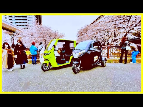 【３人乗りトライク】桜並木を走行【EV-TUK TUK】