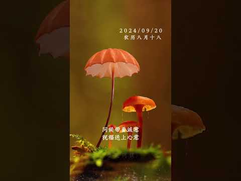 缘分来自天意 友情出自人意 问候带着诚意 祝福送上心意 #早安 #健康 #幸福 #友情 #缘分 ©唯美问候