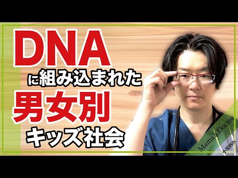 DNAに組み込まれた男女別キッズ社会【小児科医】幼児期から始まる子供の男女別の友達との付き合い方を理解