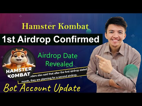 Hamster Kombat First Airdrop Confirmed | Hamster Kombat Bot Account Update | Big Update Revealed