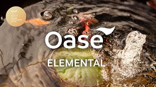 Why OASE Elemental Dealers Offer the Best Shopping Experience